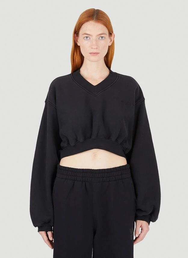 商品Alexander Wang|Cropped Sweatshirt in Black,价格¥1932,第1张图片