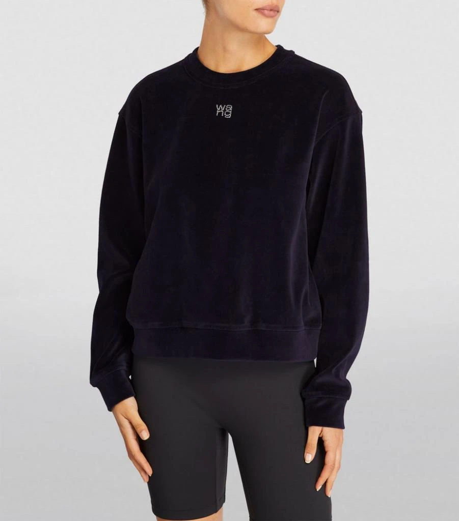 商品Alexander Wang|Velour Logo Sweatshirt,价格¥2466,第3张图片详细描述