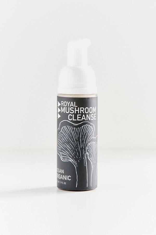 商品Roots Botanical|Roots Botanical Royal Mushroom Cleanser,价格¥300,第2张图片详细描述