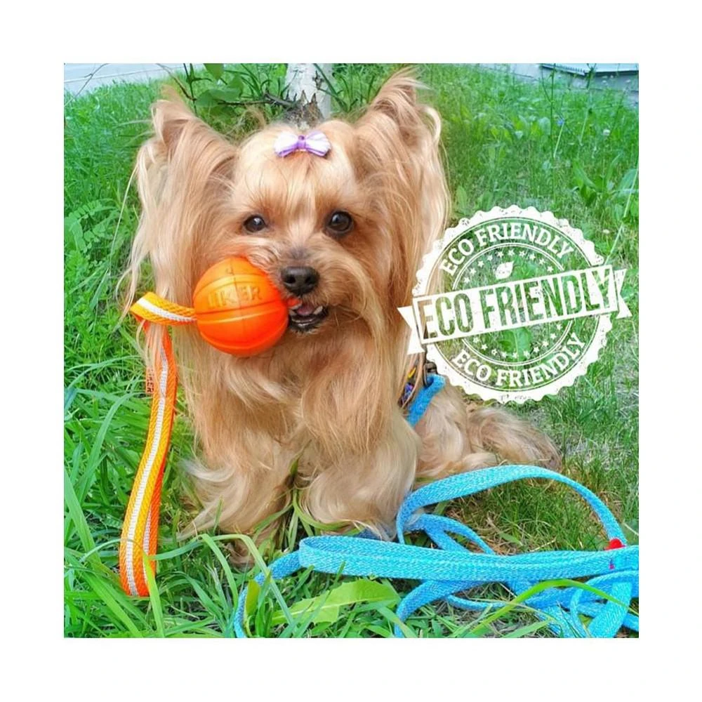 商品Waudog|Eco-Friendly Re-Cotton Leash For Dogs, reflective,价格¥127,第2张图片详细描述
