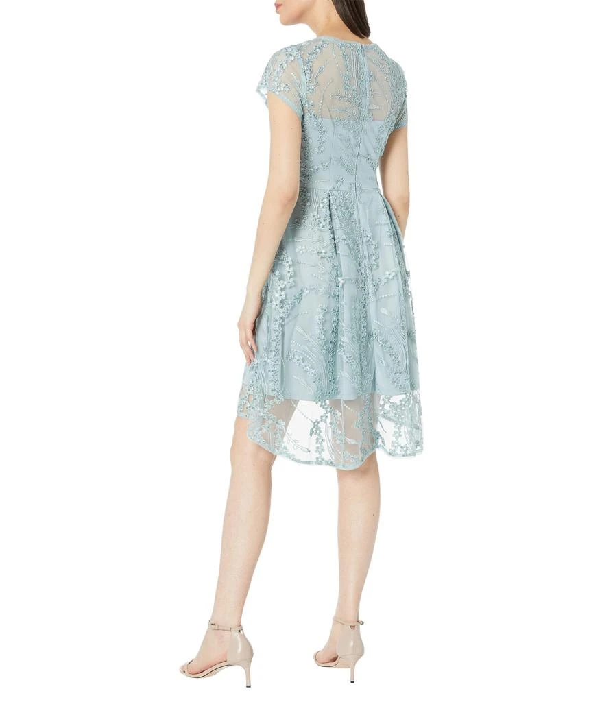 商品Adrianna Papell|Sequin Embroidered Cocktail Dress,价格¥1023,第2张图片详细描述