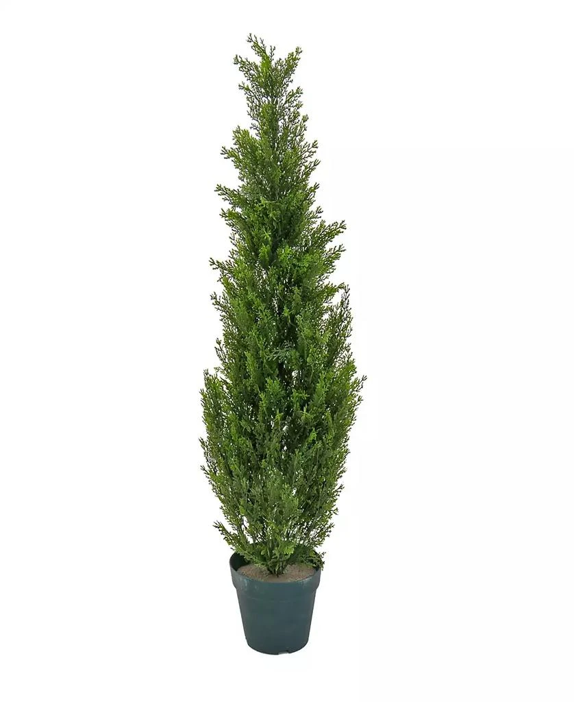 商品National Tree Company|38 Cedar Tree in Dark Green Round Growers Pot,价格¥379,第1张图片