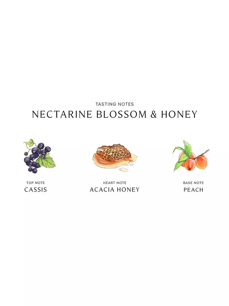 商品Jo Malone London|Nectarine Blossom & Honey Body & Hand Lotion,价格¥524,第3张图片详细描述