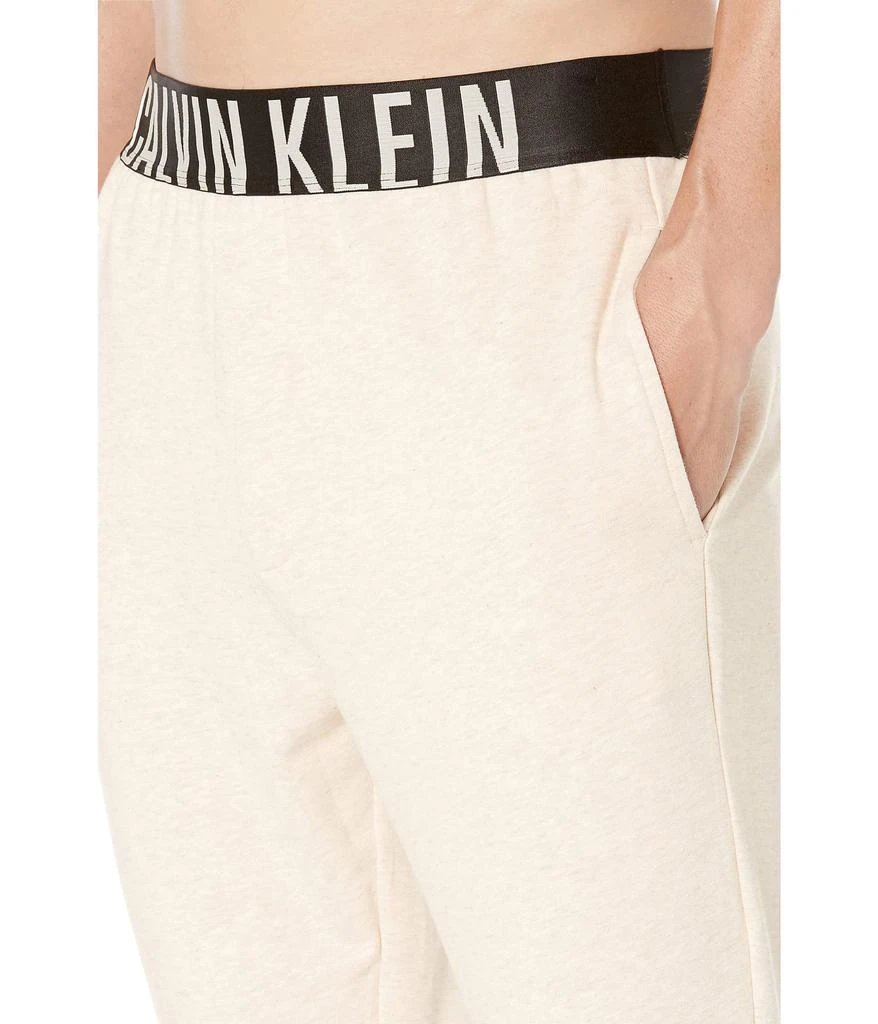 商品Calvin Klein|Intense Power Lounge Joggers,价格¥403,第3张图片详细描述