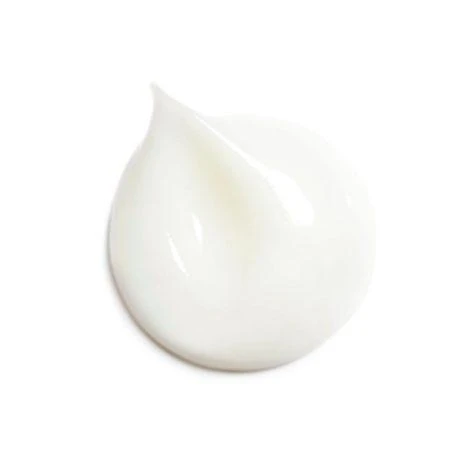 商品Chanel|欧洲直邮Chanel香奈儿山茶花保湿面霜50G Chanel Protection Radiance 50g,价格¥826,第2张图片详细描述