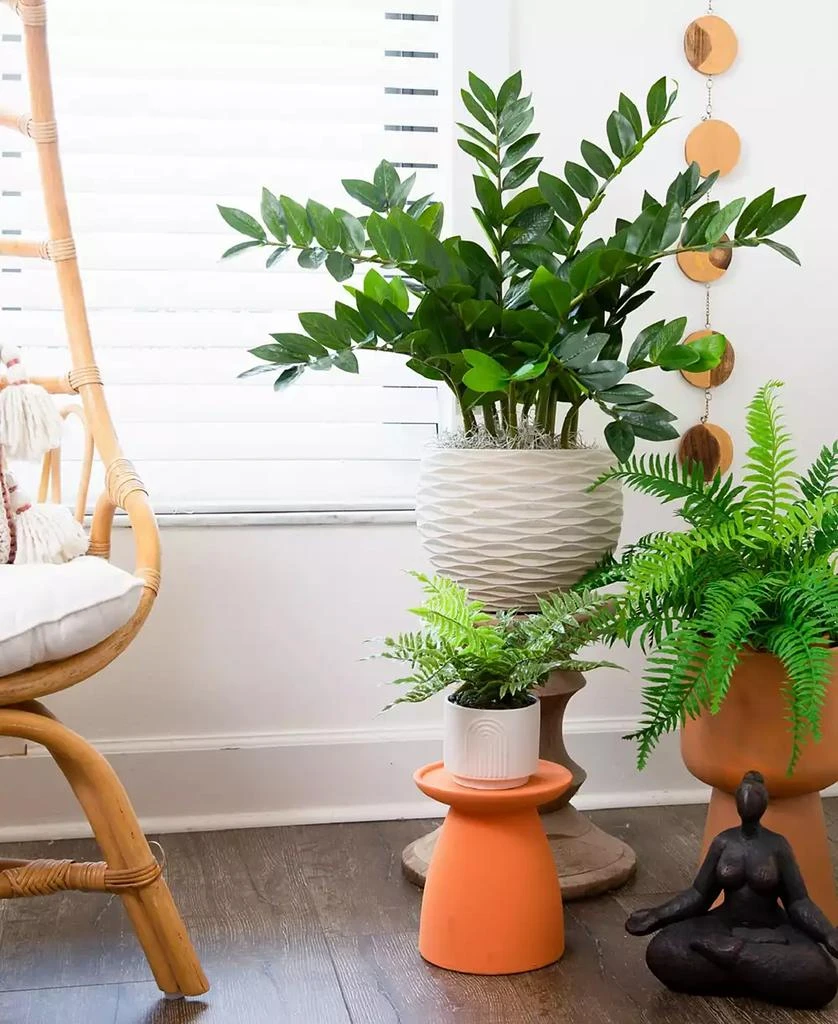 商品NEARLY NATURAL|28" Artificial Zamioculcas Plant with Decorative Planter,价格¥605,第4张图片详细描述