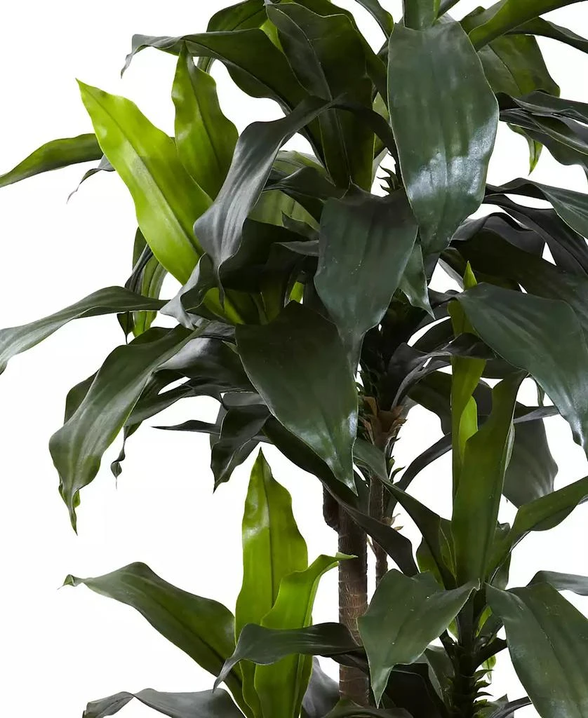 商品NEARLY NATURAL|5' Dracaena Plant UV Resistant,价格¥1505,第2张图片详细描述