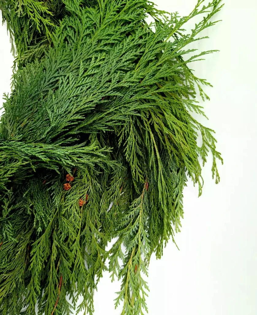 商品International Christmas Innovation|Fresh Premier Cedar Garland, 10',价格¥389,第3张图片详细描述