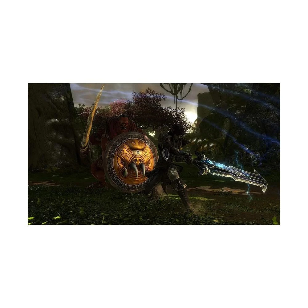 商品THQ Nordic|Kingdoms of Amalur Re-Reckoning - Nintendo Switch,价格¥298,第3张图片详细描述
