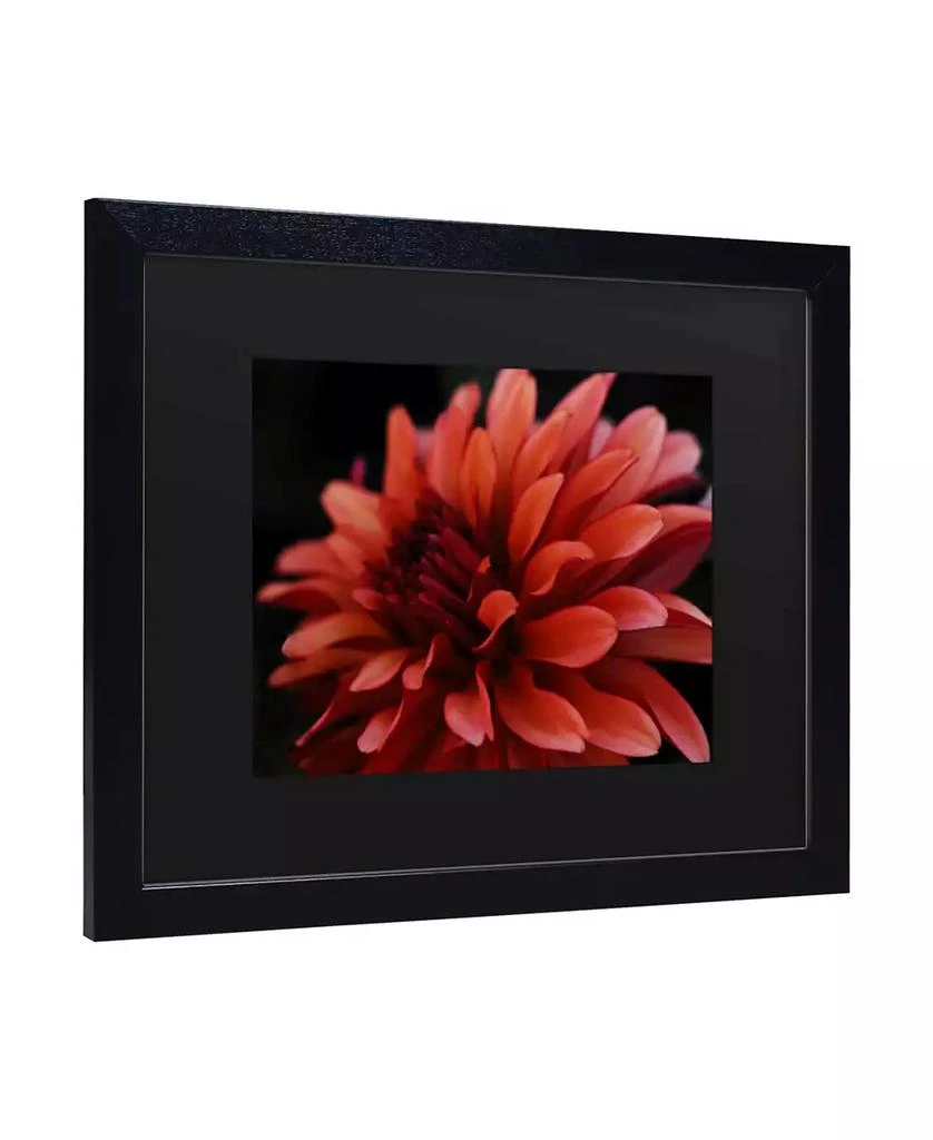商品Trademark Global|Kurt Shaffer Red Dhalia Matted Framed Art - 15" x 20",价格¥590,第2张图片详细描述
