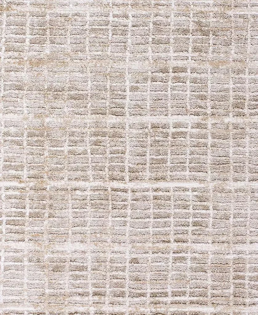 商品Livabliss|Delight Shag DEL-2305 7'10"x10' Area Rug,价格¥6418,第3张图片详细描述