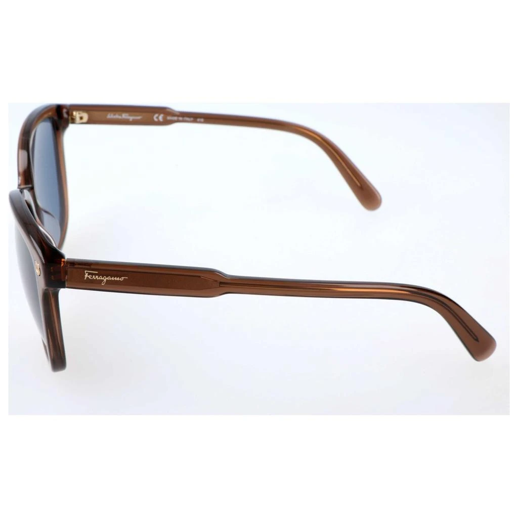 商品Salvatore Ferragamo|Ferragamo Women's Sunglasses SF815S-210,价格¥530,第3张图片详细描述