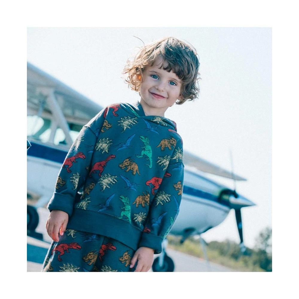 商品Deux par Deux|Boy Printed French Terry Top With Hood Charcoal Grey Multicolor Dinosaurs - Toddler|Child,价格¥183,第2张图片详细描述