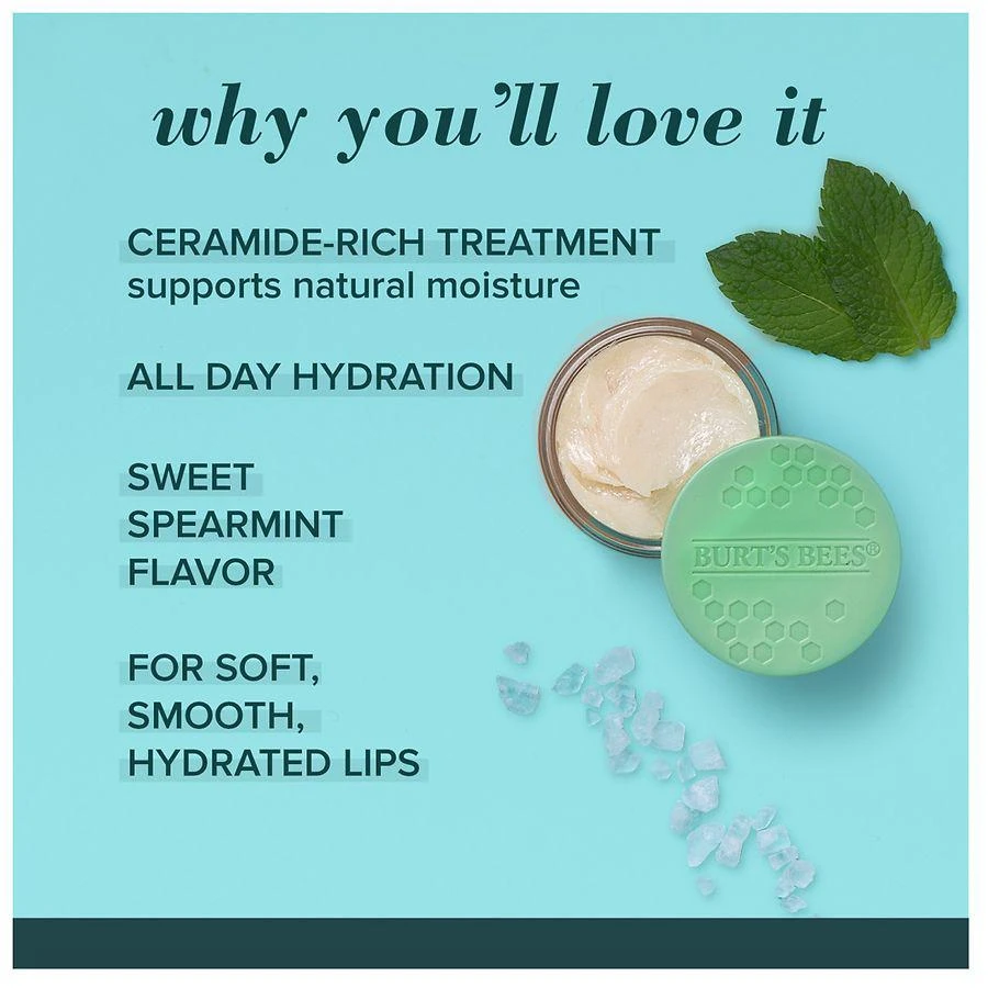 100% Natural Origin Lip Treatment with Sea Minerals Sweet Mint 商品