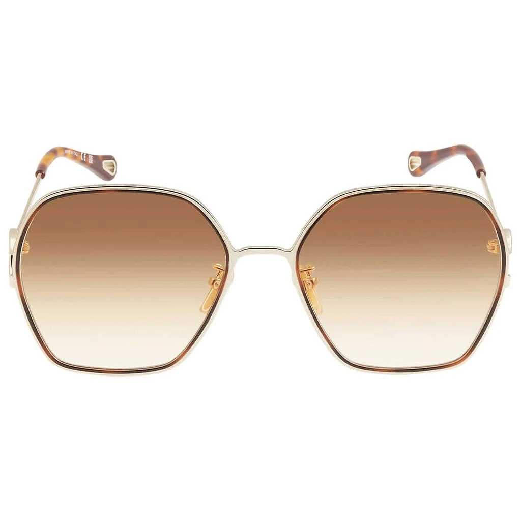 商品Chloé|Chloe Orange Butterfly Ladies Sunglasses CH0146S 002 58,价格¥2024,第2张图片详细描述