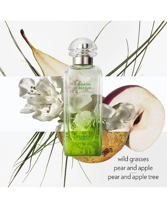 商品Hermes|Un Jardin sur le Toit Eau de Toilette Natural Spray,价格¥1159,第2张图片详细描述