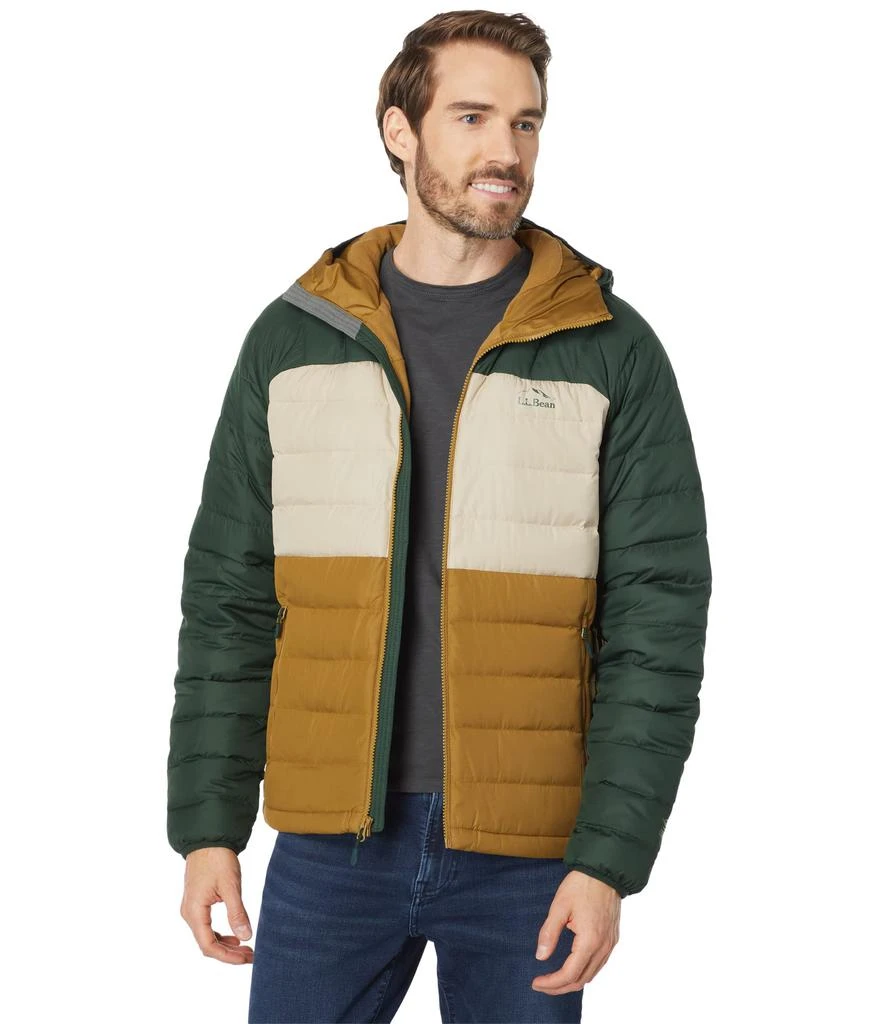 商品L.L.BEAN|Bean's Down Hooded Jacket Color-Block,价格¥669,第1张图片