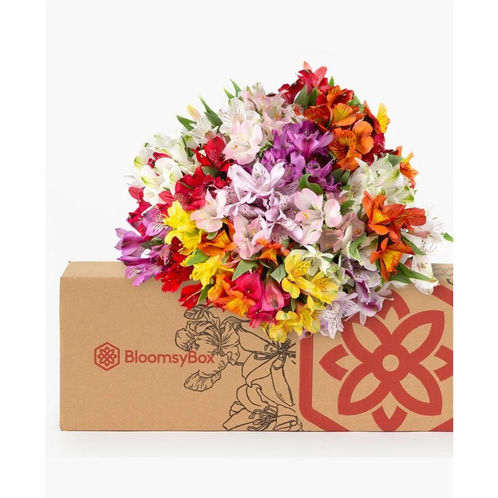 商品BloomsyBox|Assorted Alstroemeria Fresh Flower Bouquet,价格¥374,第2张图片详细描述