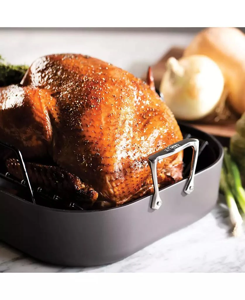 商品All-Clad|HA1 Nonstick Hard Anodized Roaster with Rack Cookware,价格¥741,第5张图片详细描述