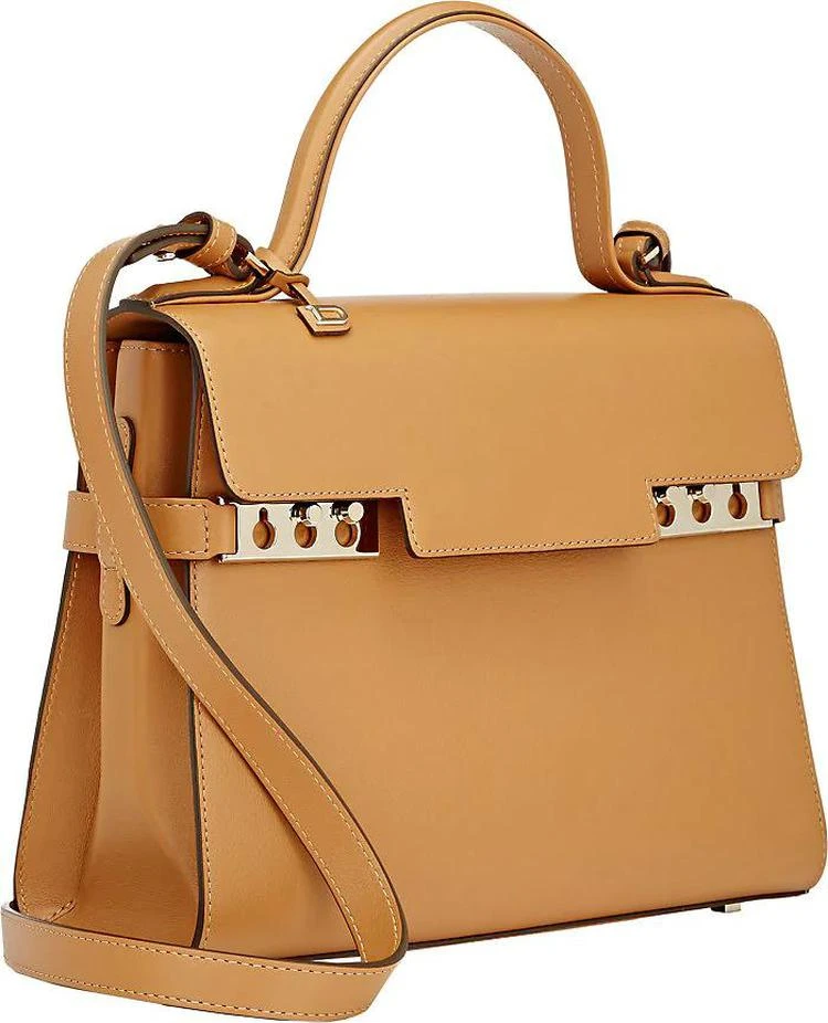 商品Delvaux|Tempête MM Leather Satchel,价格¥44929,第3张图片详细描述