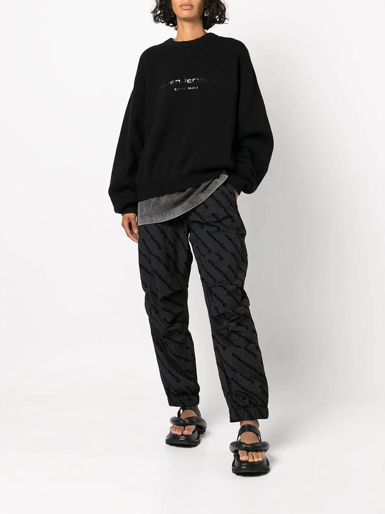 商品Alexander Wang|ALEXANDER WANG WOMEN PULLOVER WITH TPU LOGO PRINT,价格¥3412,第3张图片详细描述