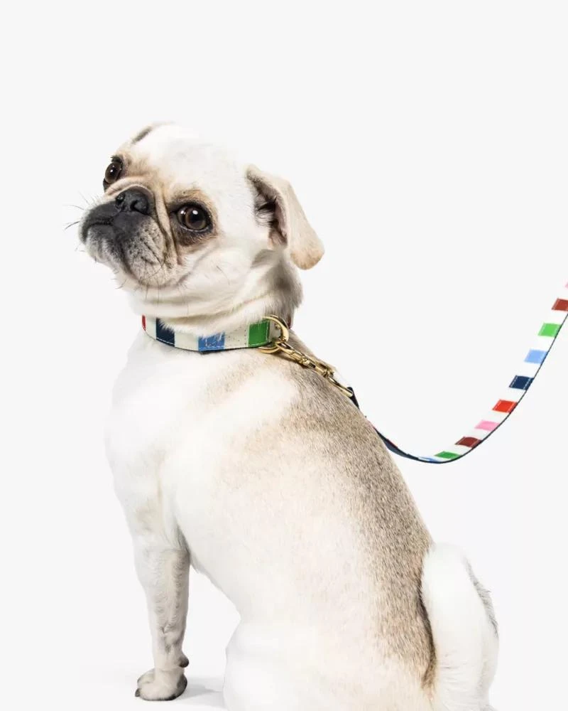 Adventure Stripe Collar S/M 商品