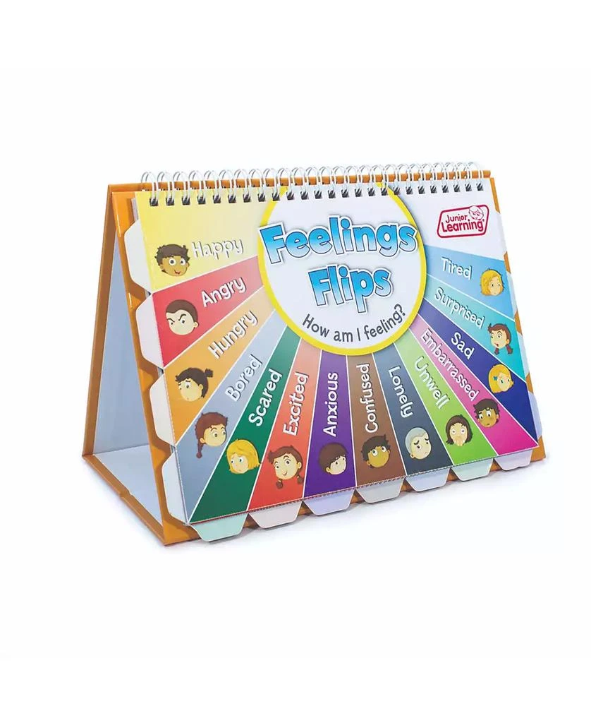 商品Redbox|Junior Learning Feelings Flips - Educational Flip Card Set,价格¥98,第1张图片