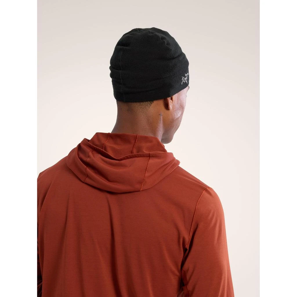 Arc'teryx Rho Lightweight Wool Toque | Streamlined Merino Wool Beanies | Thermal Efficiency, Breathable & Versatile Hat 商品