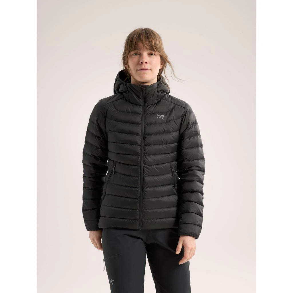 商品Arc'teryx|Arc'teryx Cerium Hoody Women's | Lightweight Warm Versatile Down Hoody,价格¥3394,第4张图片详细描述