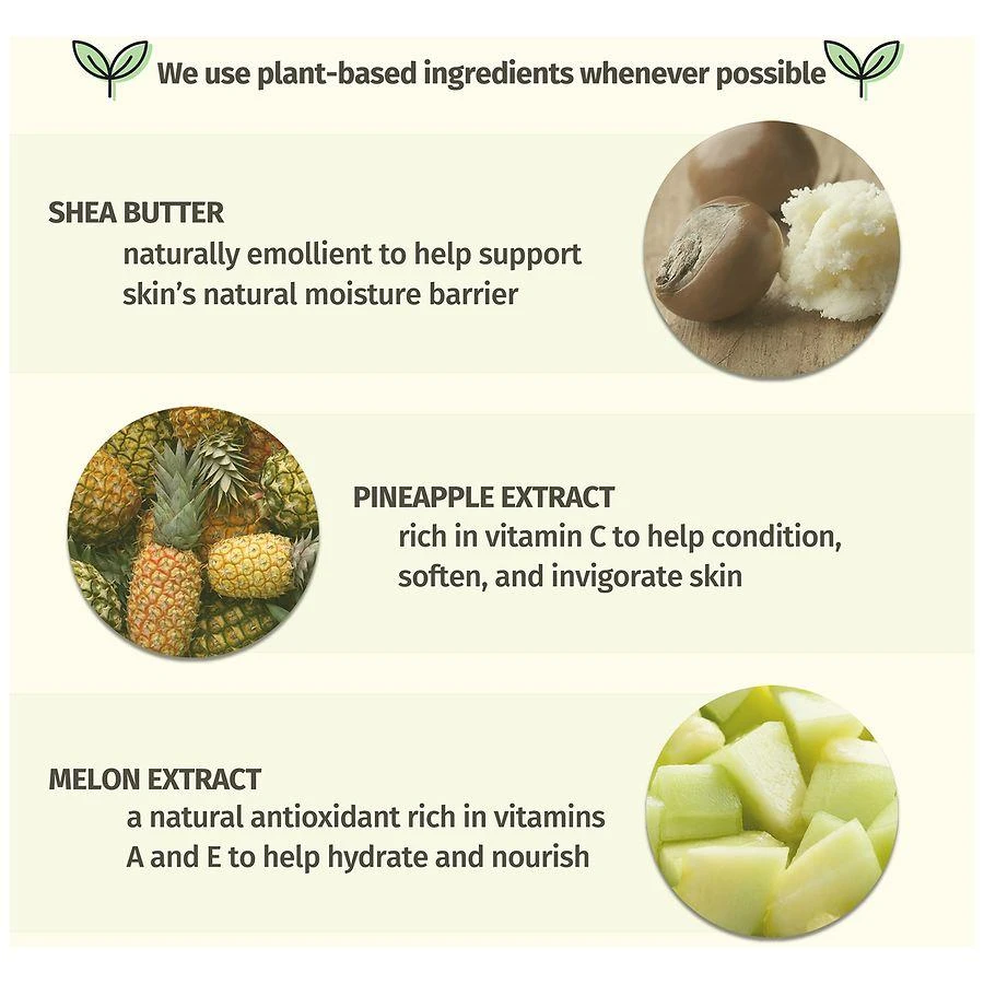 商品Hempz|Herbal Body Moisturizer Sweet Pineapple & Honey Melon,价格¥161,第5张图片详细描述