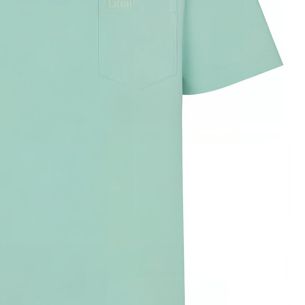 商品[国内直发] Dior|迪奥 Logo字母刺绣宽松圆领短袖T恤 男款 绿色,价格¥3200,第6张图片详细描述