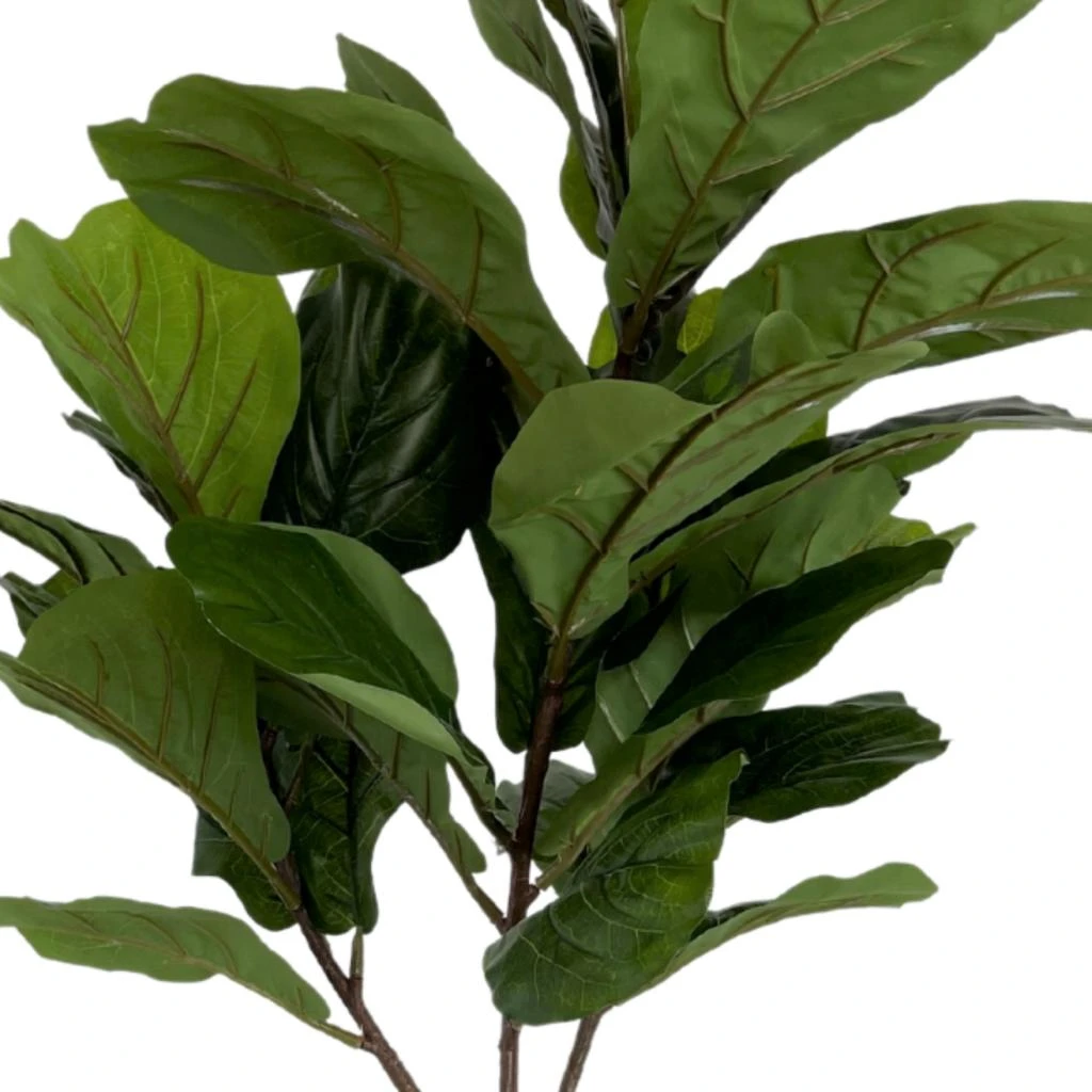 商品Creative Displays|Fiddle Leaf Tree,价格¥1707,第4张图片详细描述