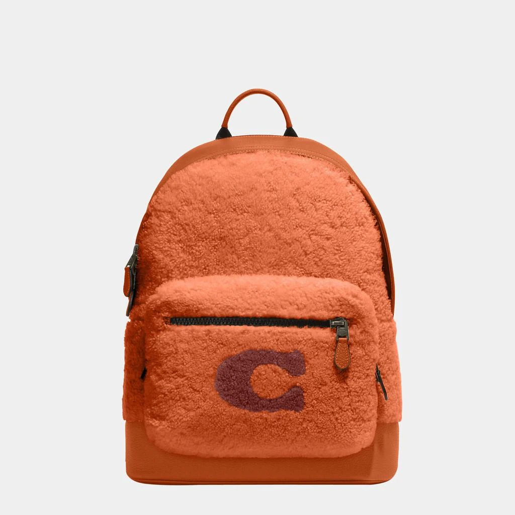 商品Coach|Coach Brown - Leather & Shearling - Backpack,价格¥3899,第1张图片