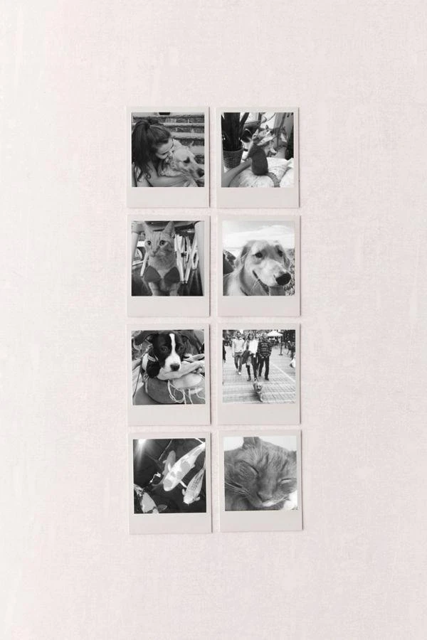 商品Polaroid Originals|宝丽来600黑白相纸,价格¥181,第2张图片详细描述