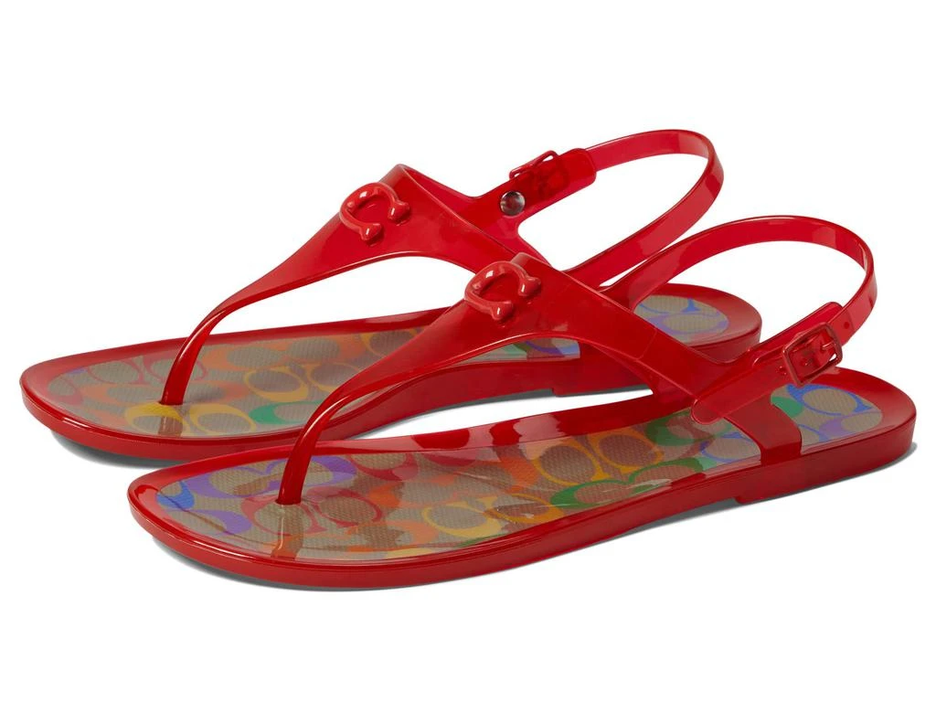 商品Coach|Natalee Jelly,价格¥467,第1张图片