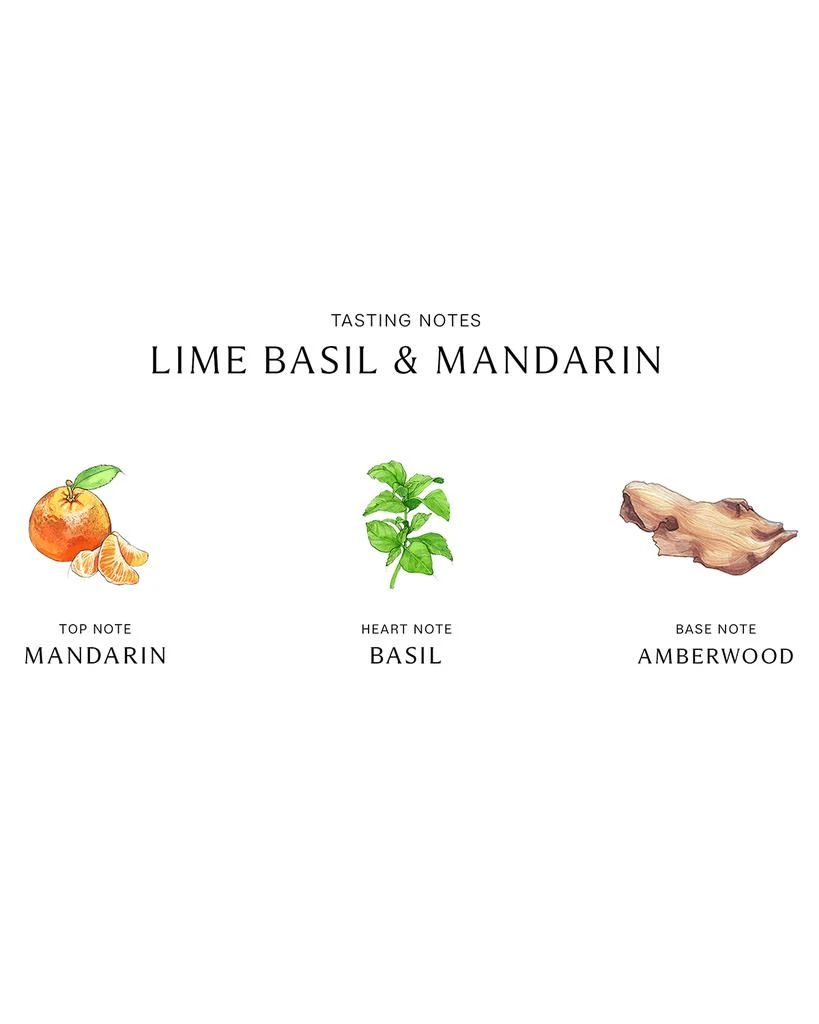 商品Jo Malone London|8.5 oz. Lime Basil & Mandarin Body & Hand Wash,价格¥395,第3张图片详细描述