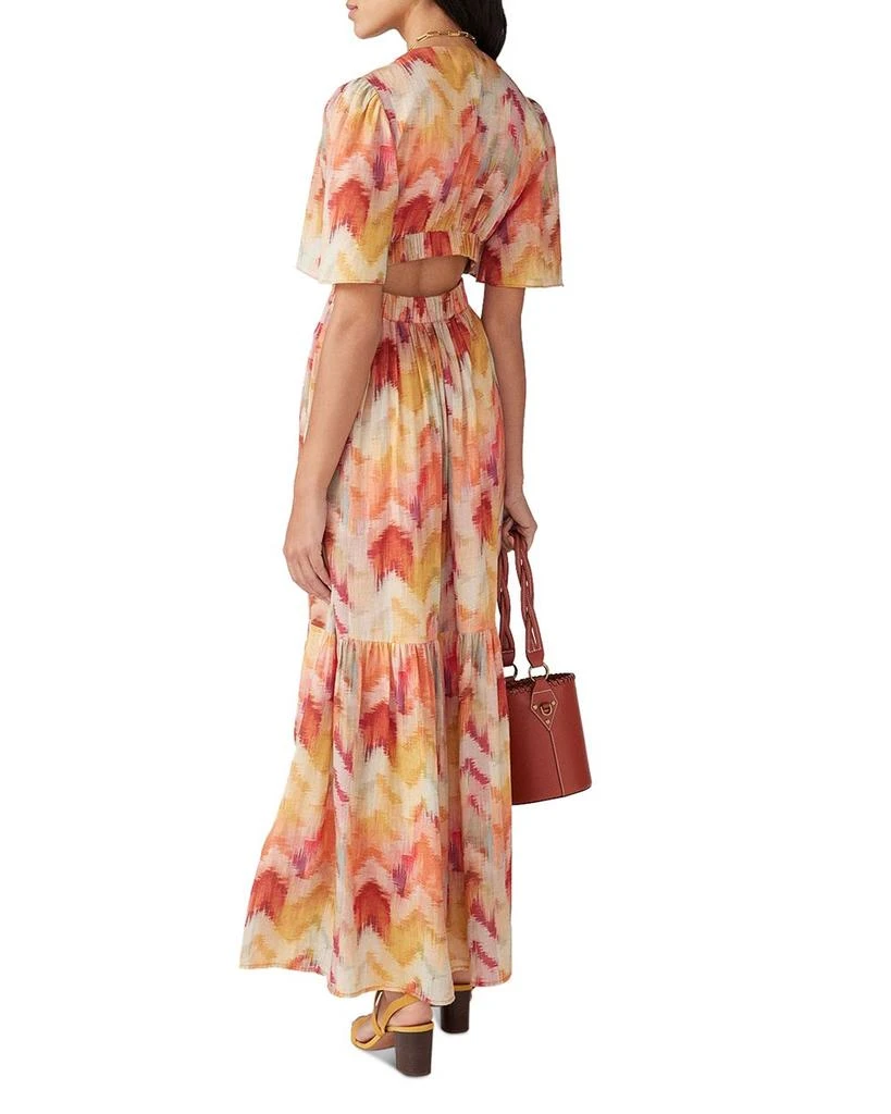 Axana Cotton Printed Maxi Dress 商品