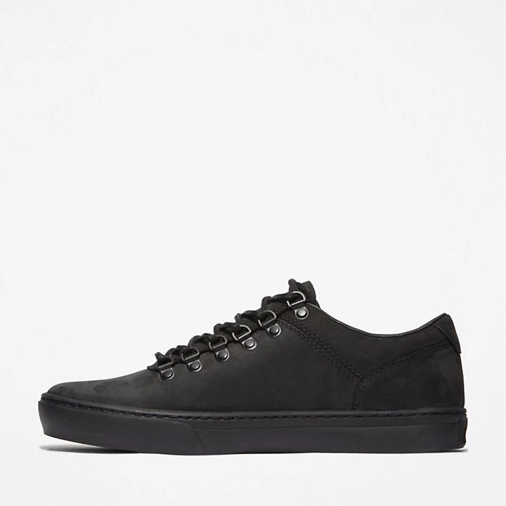 Adventure 2.0 Cupsole Alpine Sneaker for Men in Black 商品