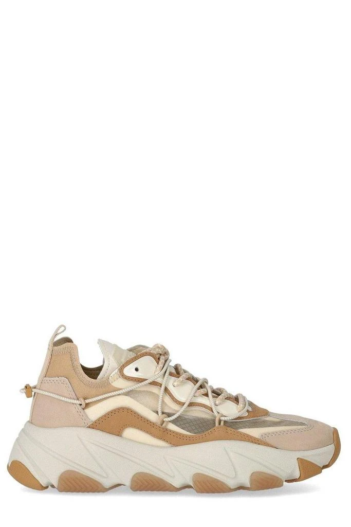 商品Ash|Extra Bis Gardenia Almond Toe Sneaker,价格¥2518,第1张图片