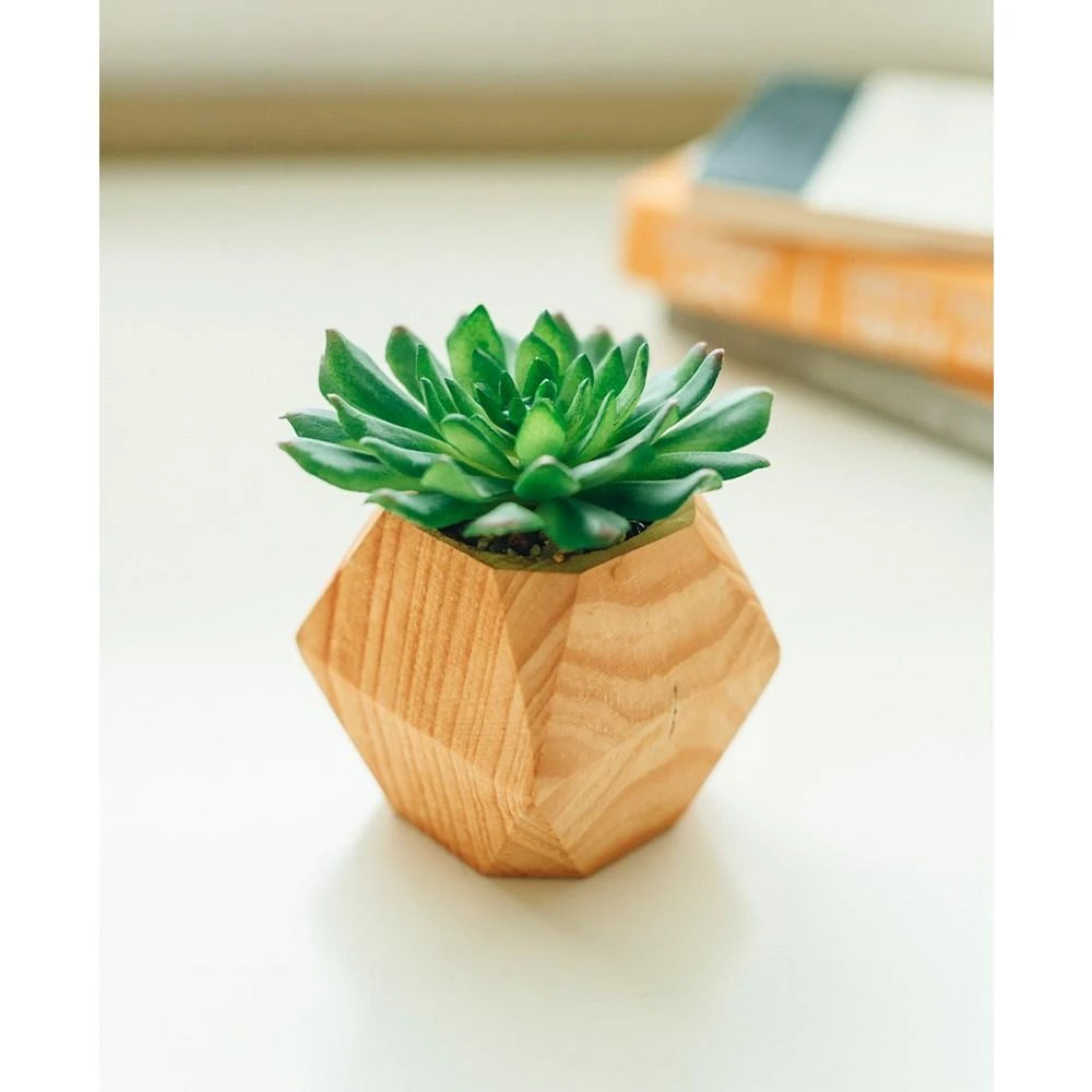 商品Flora Bunda|4.5" Artificial Succulent in Wood Pot, Set of 2,价格¥210,第2张图片详细描述