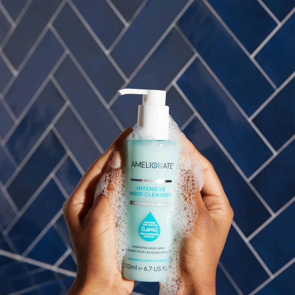 商品Ameliorate|AMELIORATE Intensive Hand Cleanser,价格¥104,第5张图片详细描述