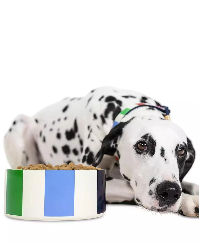 商品Kate Spade|Adventure Stripe Stainless Steel Dog Bowl,价格¥143,第3张图片详细描述