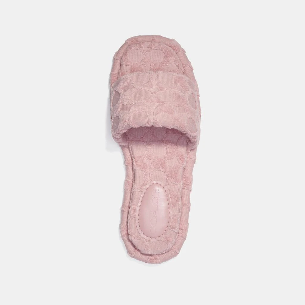 商品Coach|Coach Bridgett Terry Cloth Sliders,价格¥534,第3张图片详细描述