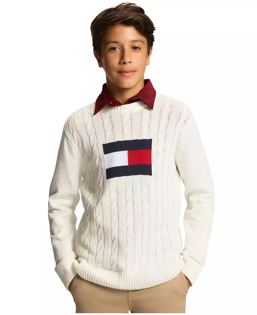 Toddler and Little Boys Flag Crew Sweater 商品