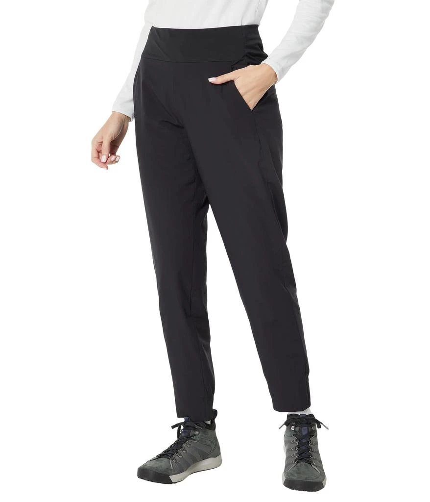 商品Arc'teryx|Proton Pants,价格¥1637,第1张图片