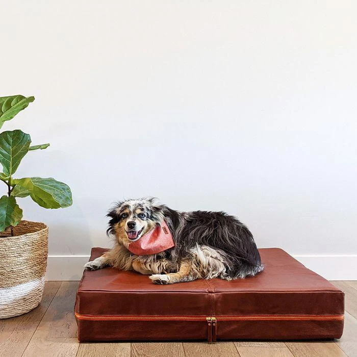 商品Le Dog Company|Leather Dog Bed,价格¥1963,第1张图片