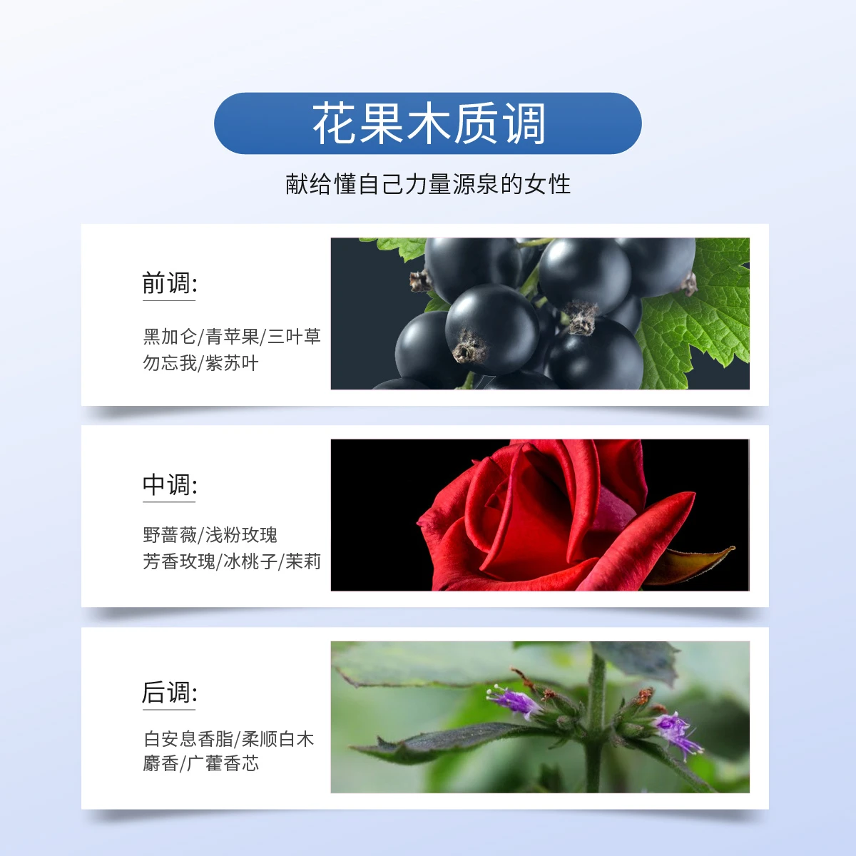 范思哲迪伦女士香水30ml/50ml 商品