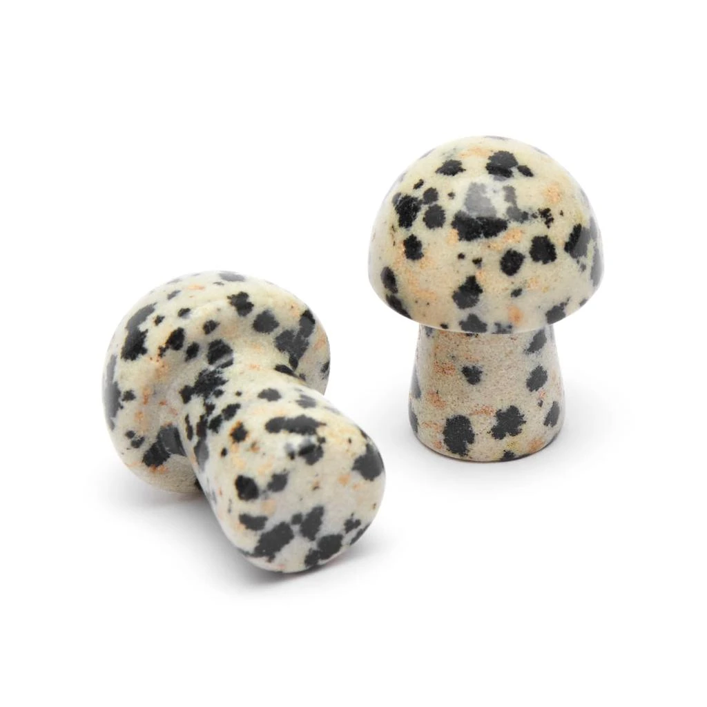 商品Herbar|Herbar Gua-Shroom Gua Sha - Mini Pair,价格¥280,第2张图片详细描述