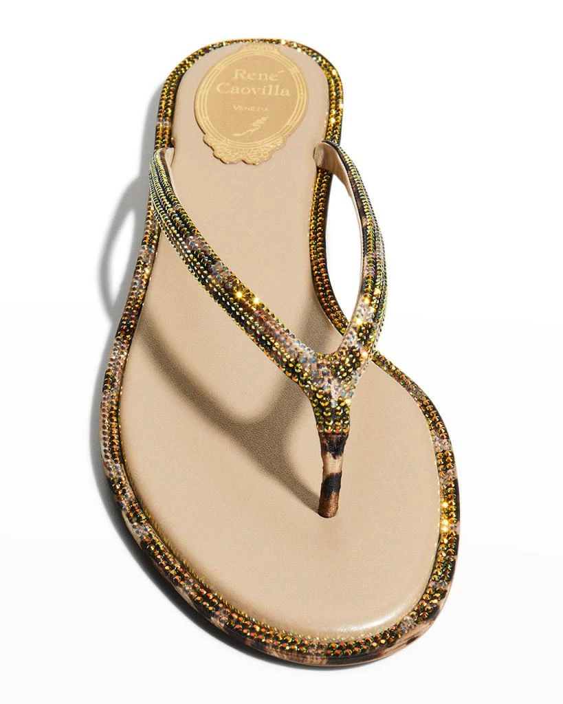 商品Rene Caovilla|Leopard-Print Shimmer Thong Sandals,价格¥2487,第5张图片详细描述
