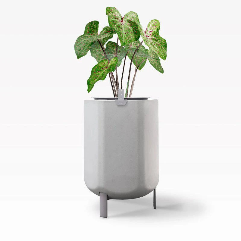 商品Marly Garden|Larger, Stone White Self-Watering Planter ADD ONS: NO LEGS FOR STACKING,价格¥1314,第1张图片